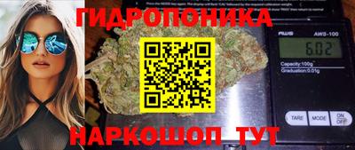 спиды Ливны