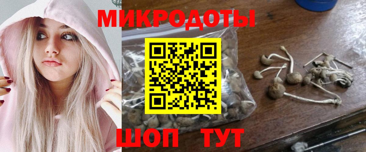 Галлюциногенные грибы мицелий  Вход с VPN  Воронеж 